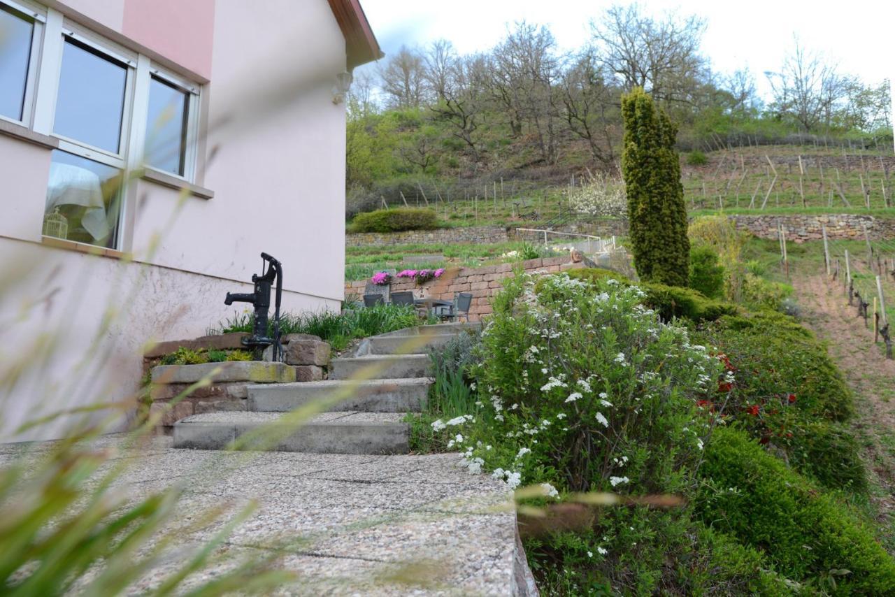 Les Glycines Du Sommerberg Niedermorschwihr Exterior foto